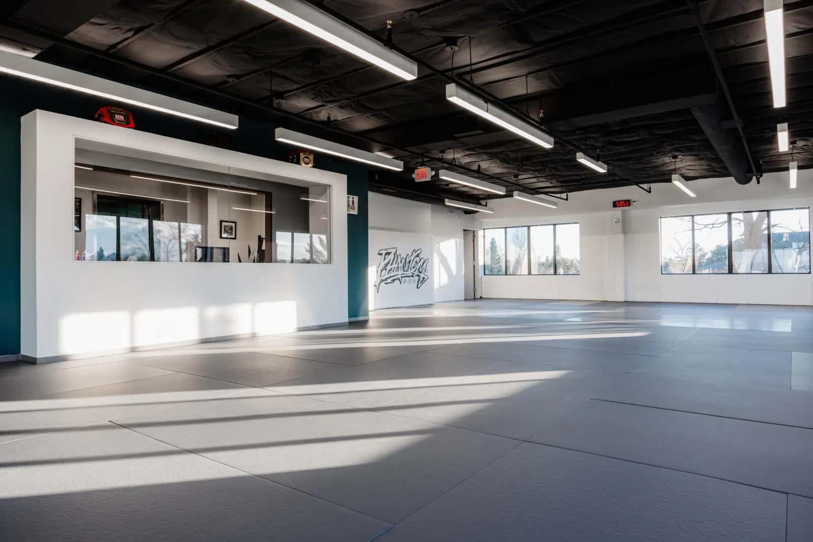 Open mat space at Phantom Jiu Jitsu Academy